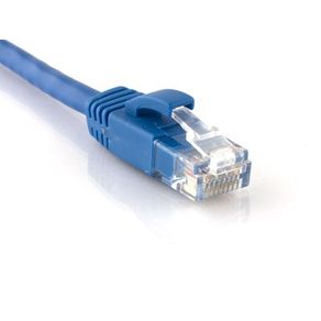 PATCH-CORD-NETSYS-1FT-CAT-6-BLUE--NET-61881BL-