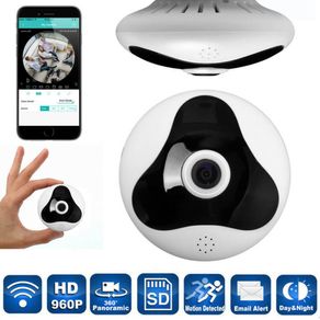 PS_19254581 PS_19254581