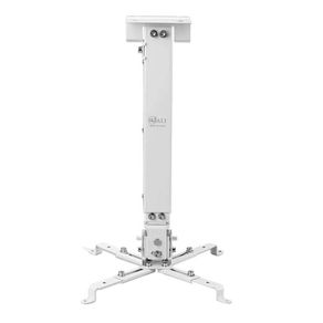 PS_587932064 PS_587932064