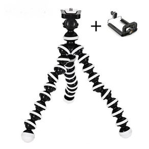 PS_455742246 PS_455742246