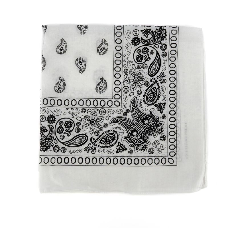 image-e95466b9eed0474897af6c6b231ac6ad