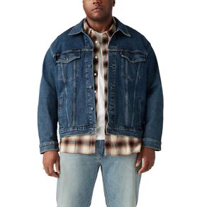 image-917b4ea008b04574a26d464dff275a0c