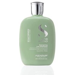 SHAMPOO-ALFAPARF-SCALP-RENEW-250MLFront-View8393011