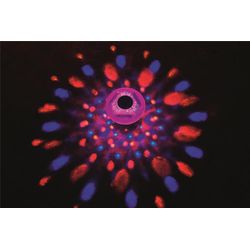 image-8cfc29f2b4784662bce99d80c6004337