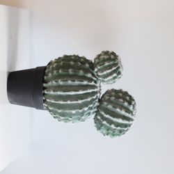 image-a7c0b241183c4c5b8d35fdb4d9255354