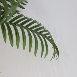 image-c0e33045927345cd9c2acf1f3788669b