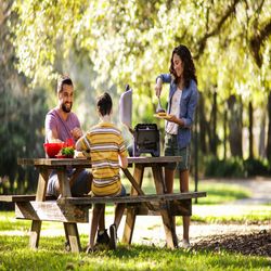 image-f348d88215684ca1bab0b9034a0043c3