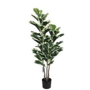 image-185e61d88c85494f8c895957743a0ab3