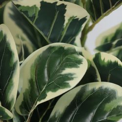 image-eae57f0423624c7a9145239894bfd974