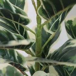 image-56db016cea5d46ab9d64943b9b3269ce