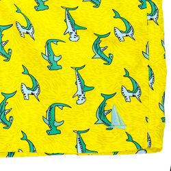 image-4797501a01ca461b89b687a6d164e5be