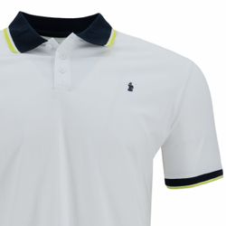 image-f8df66551fef4f769eeabc7c87a9b246