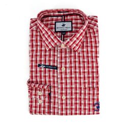 image-24e13f0c7c1d45ee92ae19cdaf73bd40