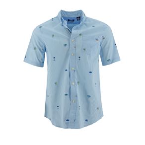 image-0d0641faa4cd41dca0da9cdb5fb75a9b