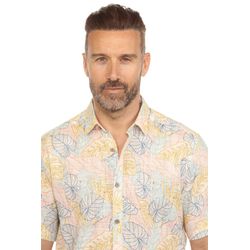 image-4076525ea3d748a9b13d0828ffe465d5