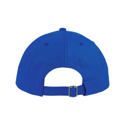 image-739ba9916d7d43229534447ea3692cde