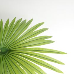 image-bfa307301b79459e90bf78ef4f644b9f