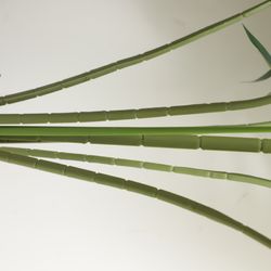 image-8b2fd3e54b834c658771574b927878b5