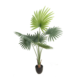 image-bd3c3b2a49af482884c47b04d0612b27