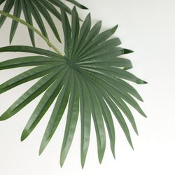 image-bfcc121119484a19904d9bc0e2daa1d7