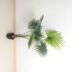 image-c167763e49b049a595dac098c12fd0e1