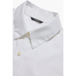 image-6b9073172bdc4e8684064e6ac651ca4d