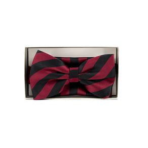 image-baa26044624347dd9993b36d0a472538