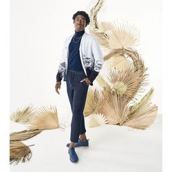 image-654408a0619f4acd8e7d88639ee6a09e