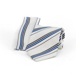 image-a51af57ff5a445d6adf525c5a3b67741