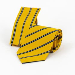 image-b548c7a2b5094d35a778b59a47828177