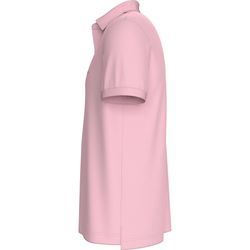 image-29607244ddcf4ee7a2b13e1f04f86b1a