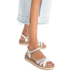 image-1287acc9f36c4434a01e125fe0175373