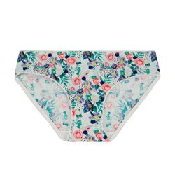 image-765bd428774d402db730199c2f72c443