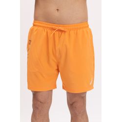 image-8b9cdbffb33c4d5fa1e239a4423e981b