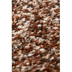 image-a2f6d4ddebcd40de908797b7f5ba9837