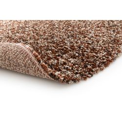 image-019aa6bbdc5f46fa8ca3ef4b975909bb