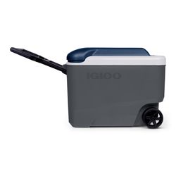 image-6085ed685a704381933b21406685a1c4