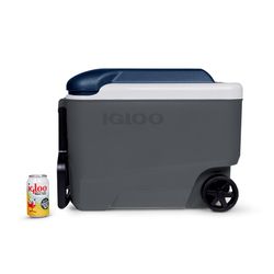 image-5faac21e587a4e6993ac9f0c4e4e351c