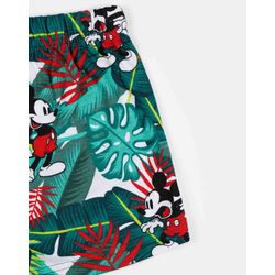 image-fd81c40e90574e5f9d60e03ed8763162