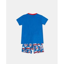 image-6ae86ae5968748aa849ad637213182ac