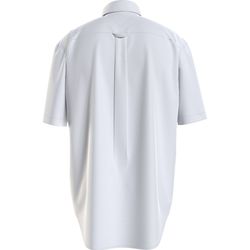 image-6a077fd344354295b36751aee29bf9f3