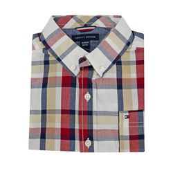 image-477a0349dc6b4478b0e434abe2819e74