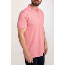 image-b36836893ead4517bcf2ff3c9ae46e17