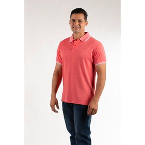 image-9a7a050f236149908cc5e3f085ae16e7