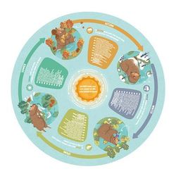 image-da065092efe94dcea949220b22e0eaab