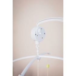 image-b9ad91c3ab04442180a06d7e18b1db49