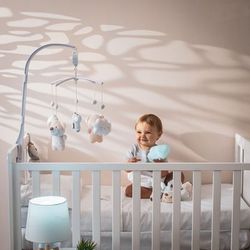 image-62b3711345274acfb790f39657a034b4