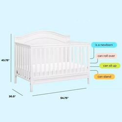 image-56ddd09c0277425580b3a70bc3f6feab