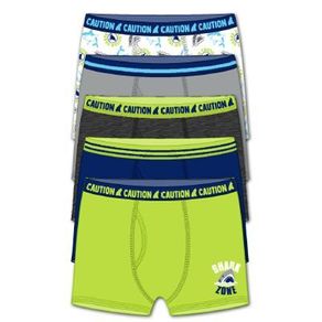 image-c0190badb70746df9be6b94b966d1cd9