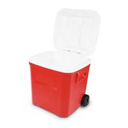 image-4535dbd291d64c1084dcdd434e226506